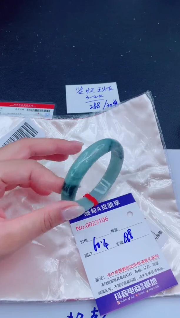 未镶嵌手镯翡翠288