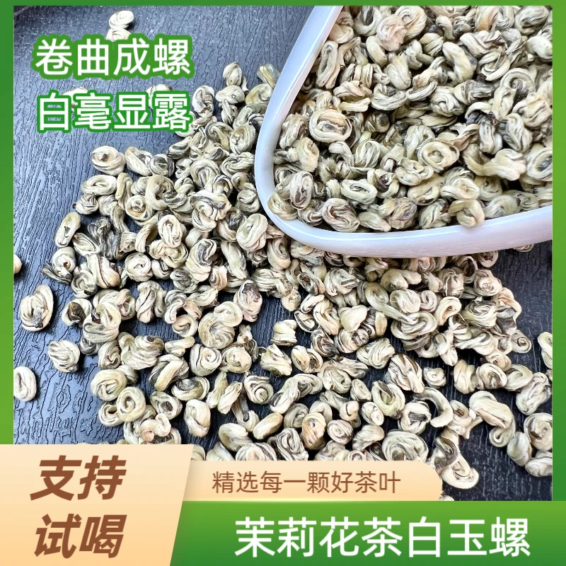 浓香茉莉白玉螺王 全芽玉螺 老味花茶浓香耐泡 2025新茶龙珠厂家