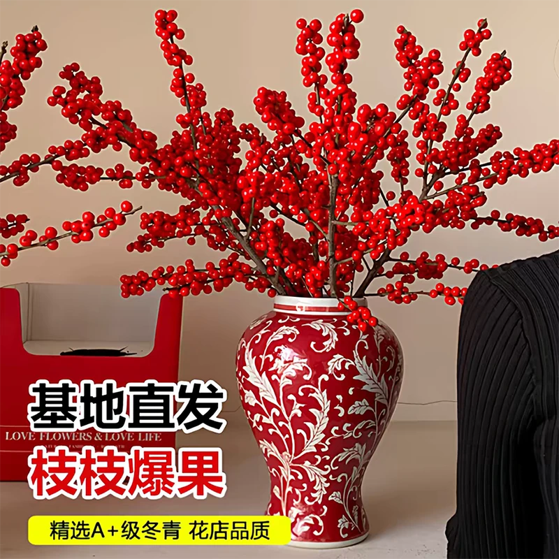 北美冬青鲜切花年宵花水培耐寒真花真果适合室内装饰A