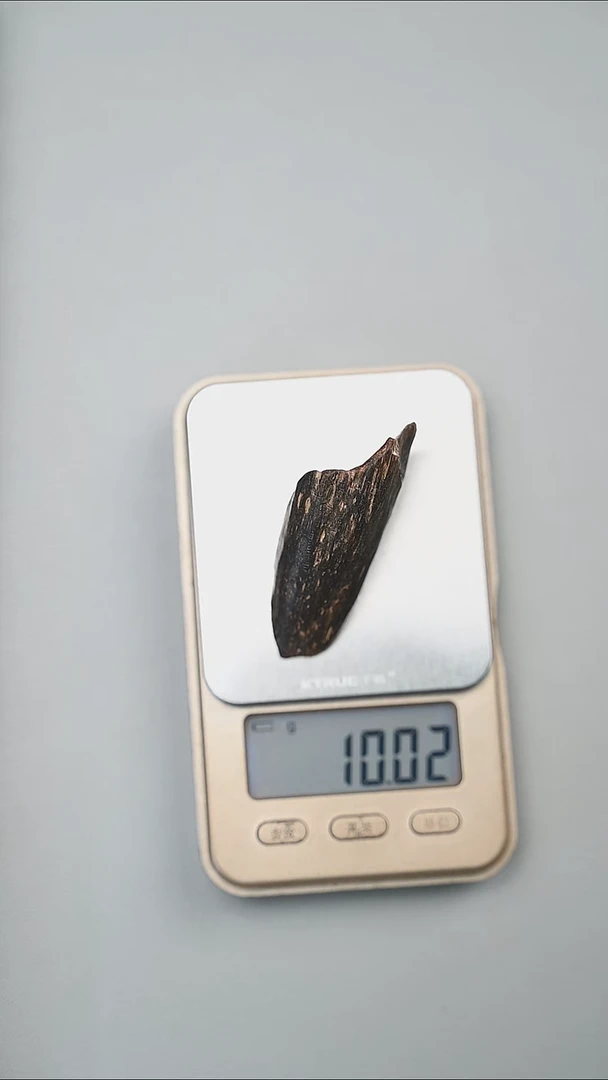 越南芽庄沉水原料10g