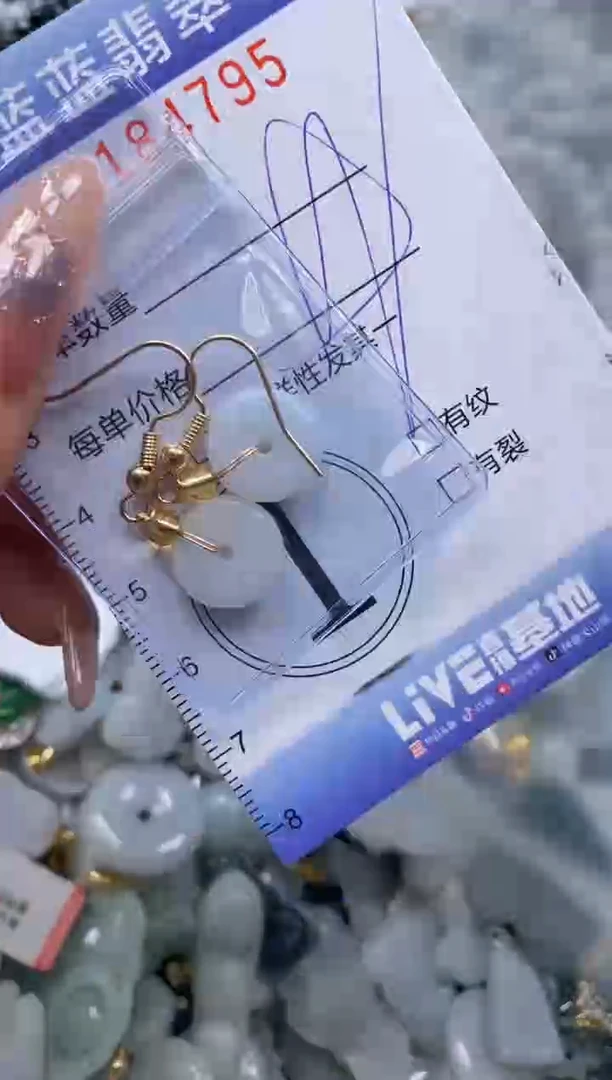 【闪购商品】翡翠颈饰未镶嵌闪购0184795