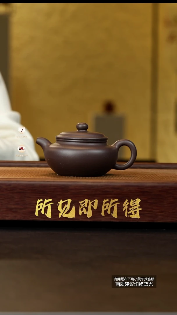 茶壶紫砂范家壶庄原矿大生老紫泥仿古YY015