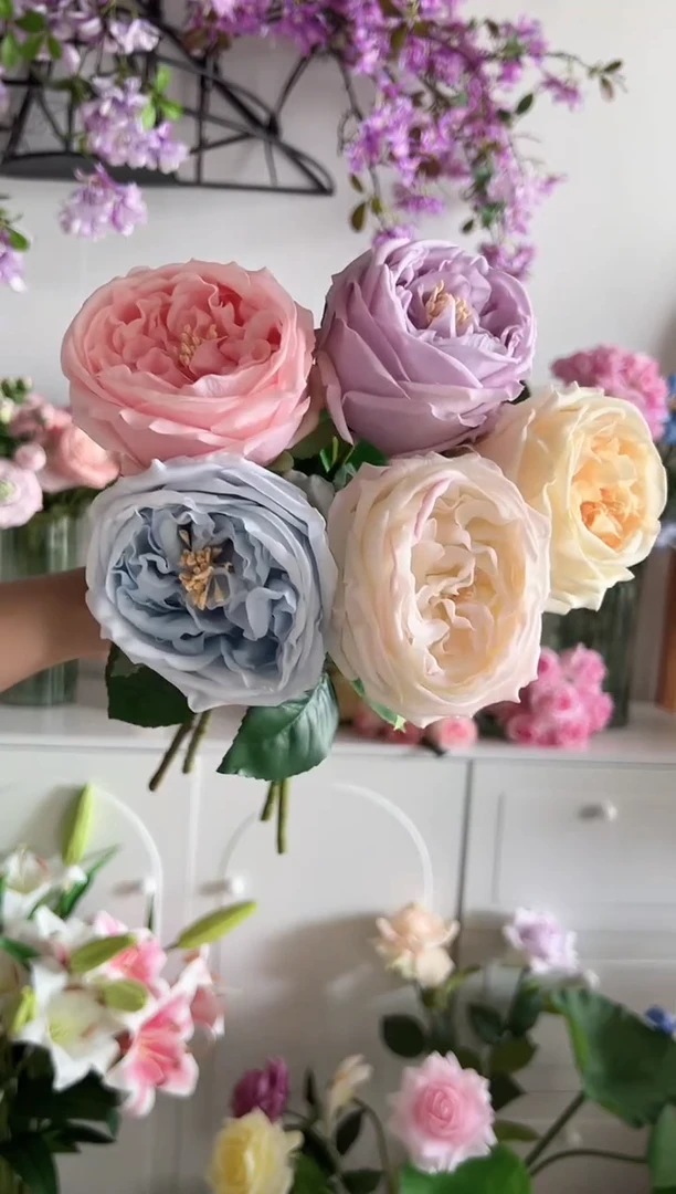 5枝混色手感保湿奥斯汀