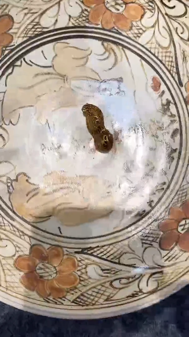 瓷器88888888888888