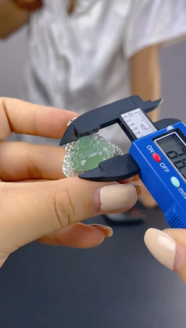 翡翠未镶嵌颈饰天然A货翡翠