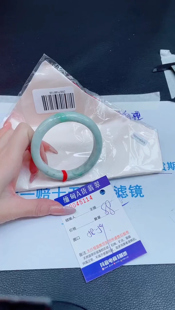 未镶嵌手镯翡翠1020918877