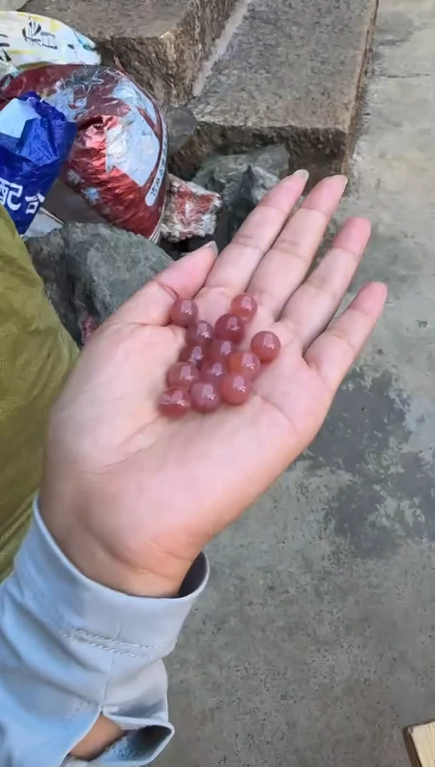 南红玛瑙珠串未镶嵌原矿无优化10mm散珠多样性发一个