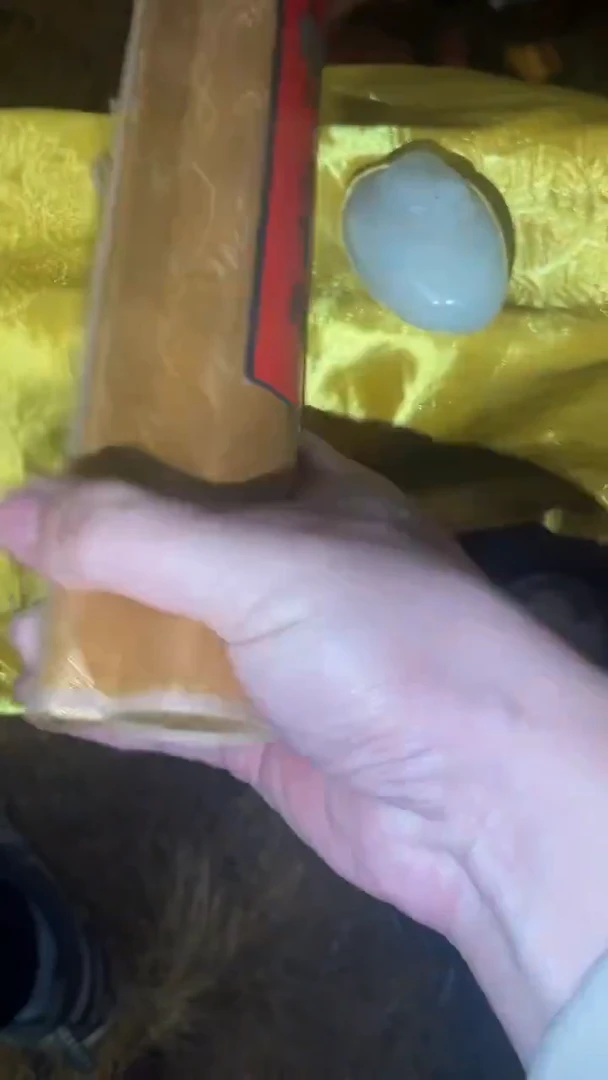 其他木木木多样性发其一 五牛+鸡蛋