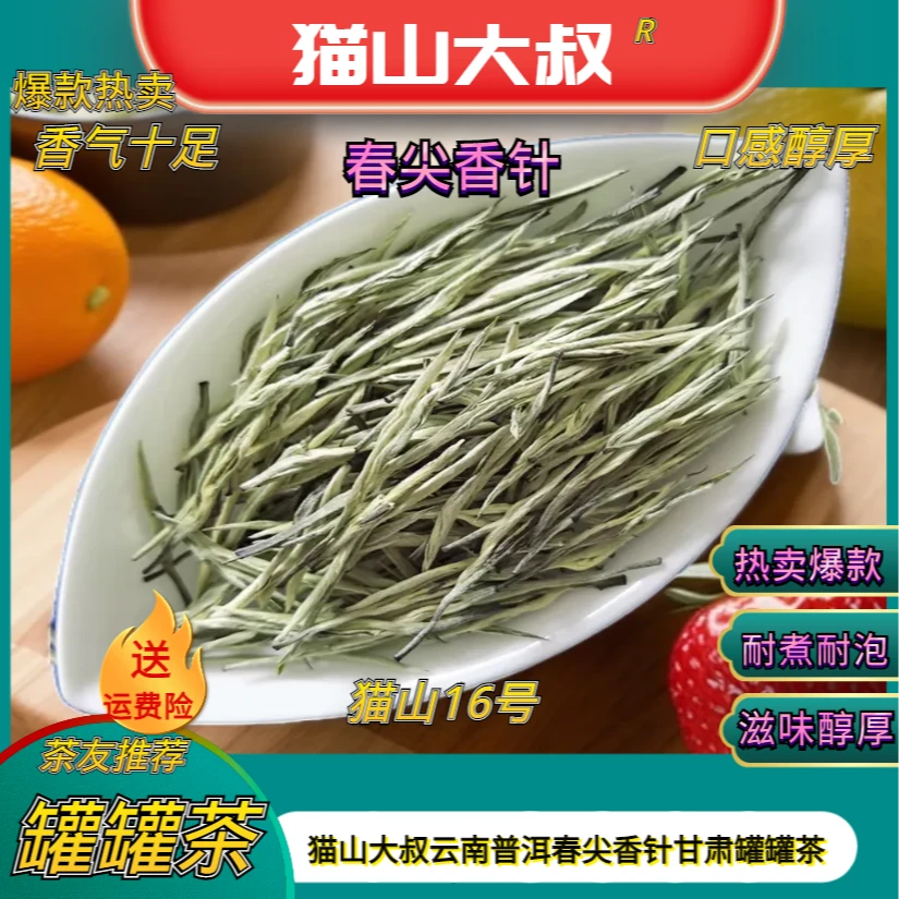 【猫山16号九妹】2025新茶云南春尖香针绿茶玉针八宝茶甘肃罐罐茶