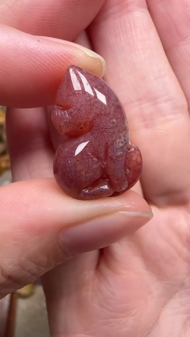 颈饰未镶嵌硅化珊瑚（珊瑚玉）347
