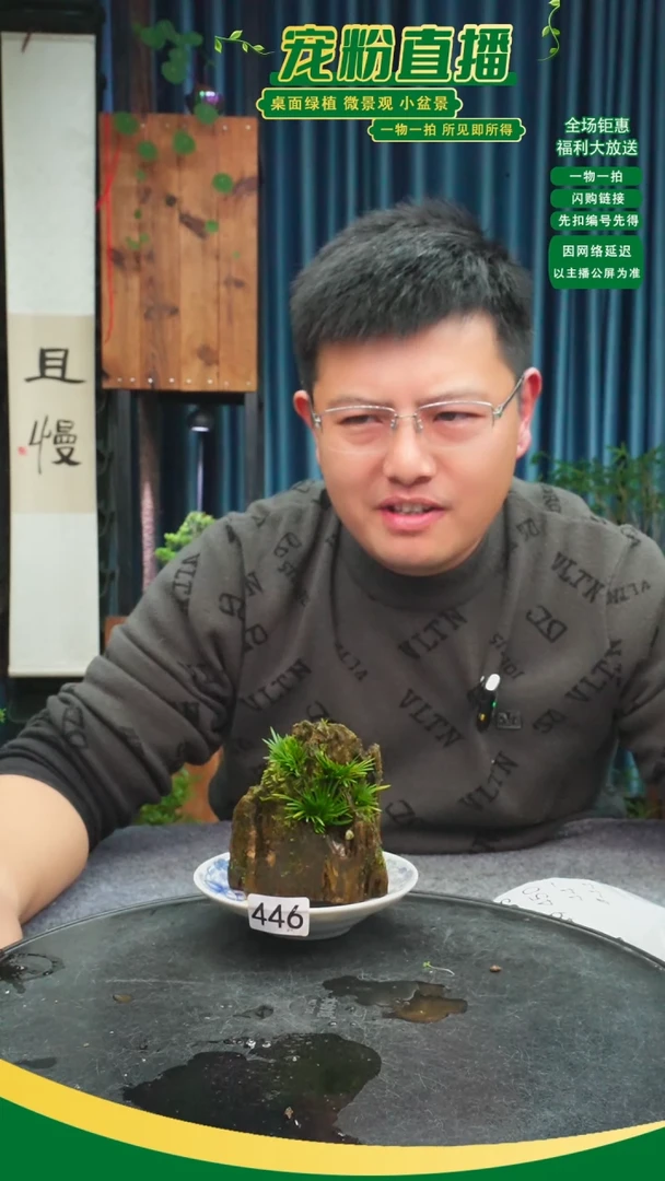 无花朵崇****司苔藓微景观446号