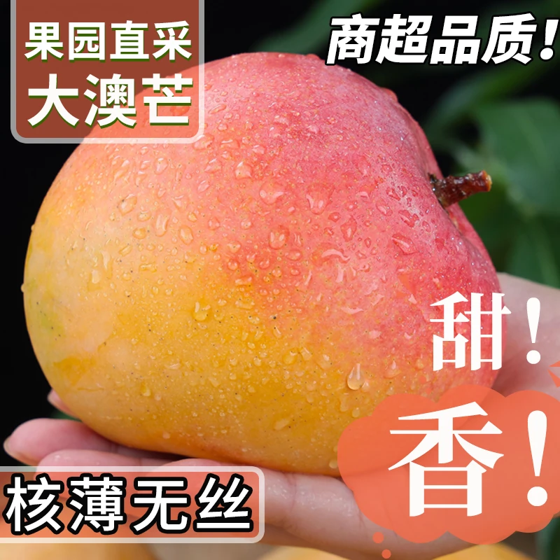 云南苹果芒澳芒现摘现发当季水果特大号凯特芒果彩虹芒新鲜整箱