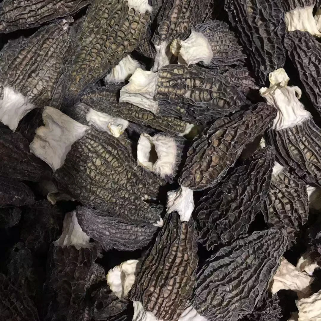 六妹头茬羊肚菌5-9精品干菌菇