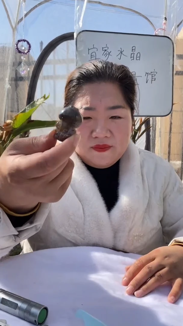 【闪购商品】水晶原石未镶嵌极光23貔貅D841