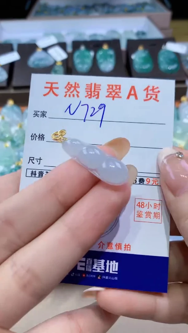 颈饰未镶嵌翡翠天然缅甸翡翠A货挂件