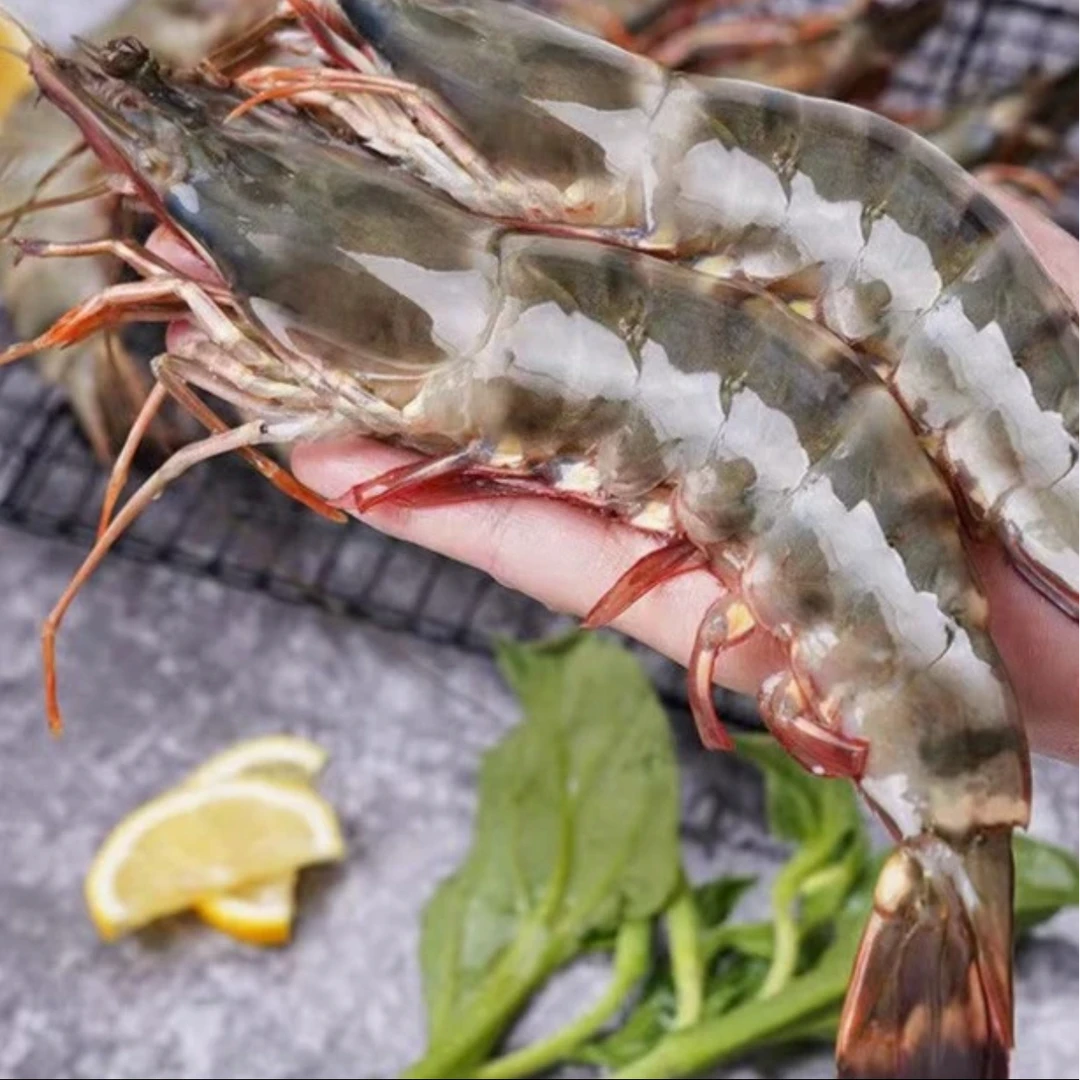 两盒礼盒装黑虎虾8只/特大号盒/500g深海送礼盐冻特大号