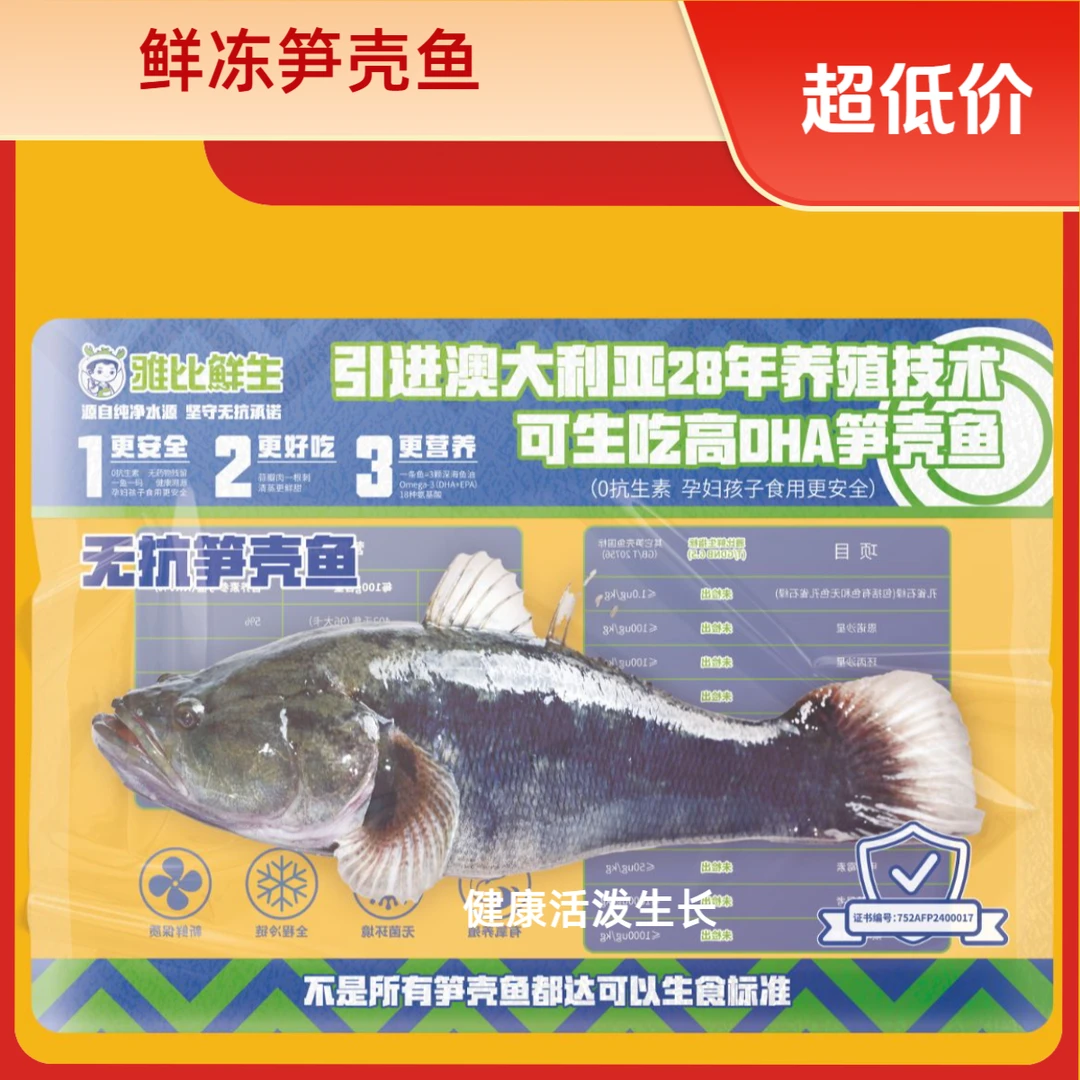 淡水黄金笋壳鱼【无抗淡水鱼】孕妇婴儿可食 鲜冻笋壳鱼 鲜活速冻