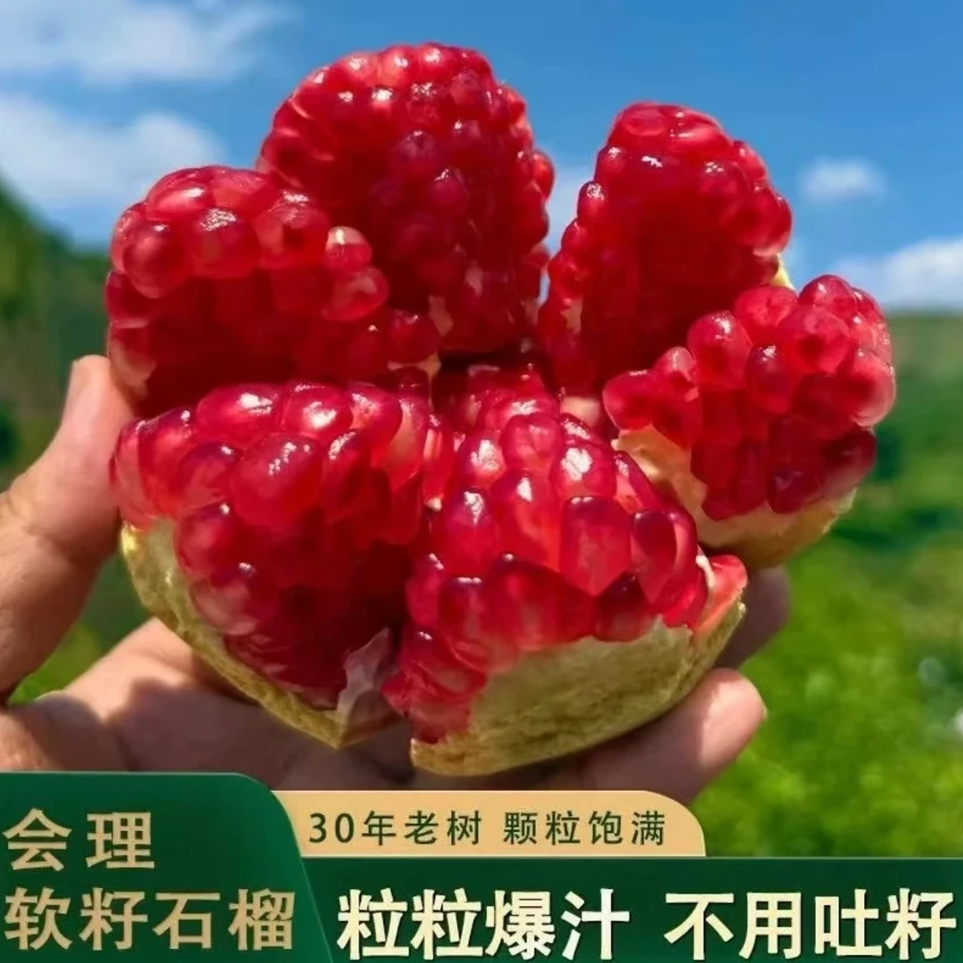 【纯甜爆汁】正宗会理突尼斯软籽石榴新鲜当季水果多汁坏果包赔语森