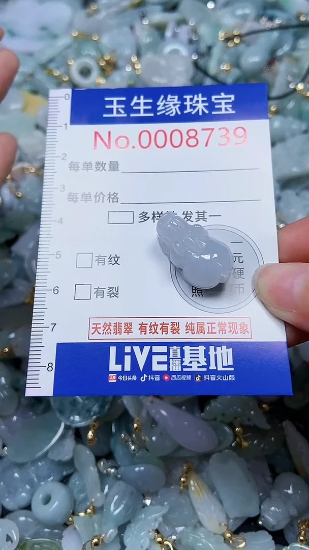 【闪购商品】翡翠颈饰未镶嵌闪购00008739
