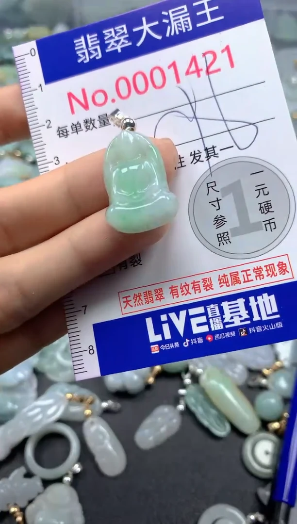 颈饰未镶嵌翡翠1421