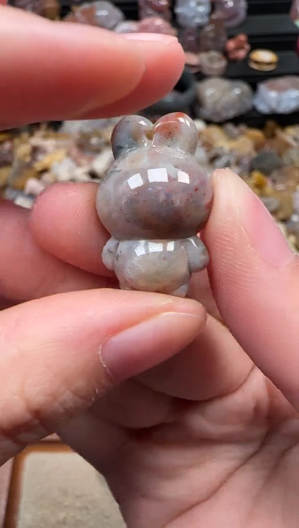 颈饰未镶嵌硅化珊瑚（珊瑚玉）783