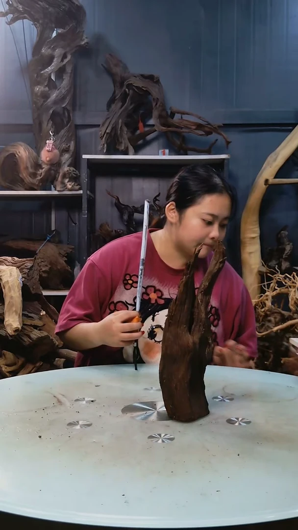 504清香阁清香阁清香阁