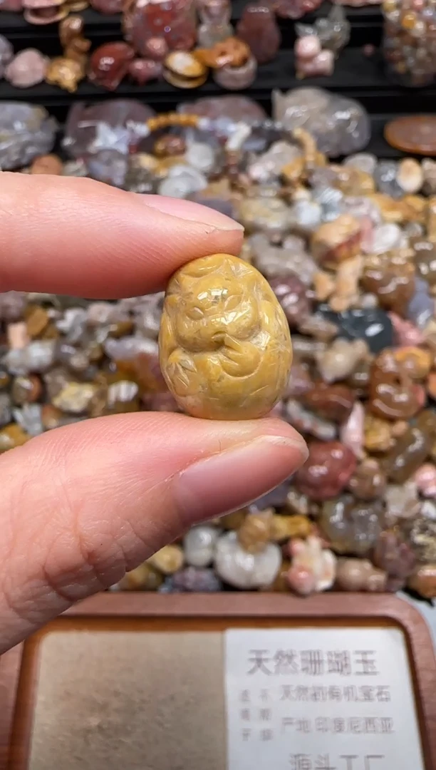 硅化珊瑚（珊瑚玉）未镶嵌颈饰669