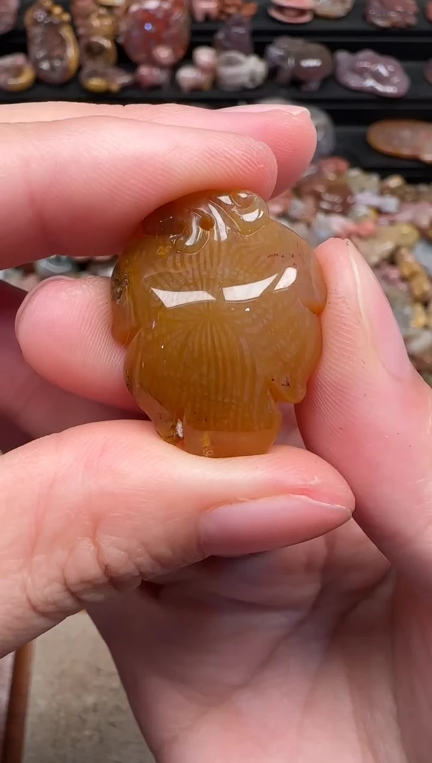 颈饰未镶嵌硅化珊瑚（珊瑚玉）749