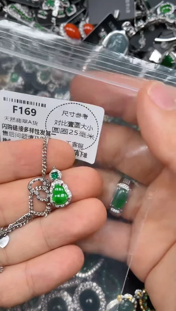 颈饰未镶嵌翡翠F169项链