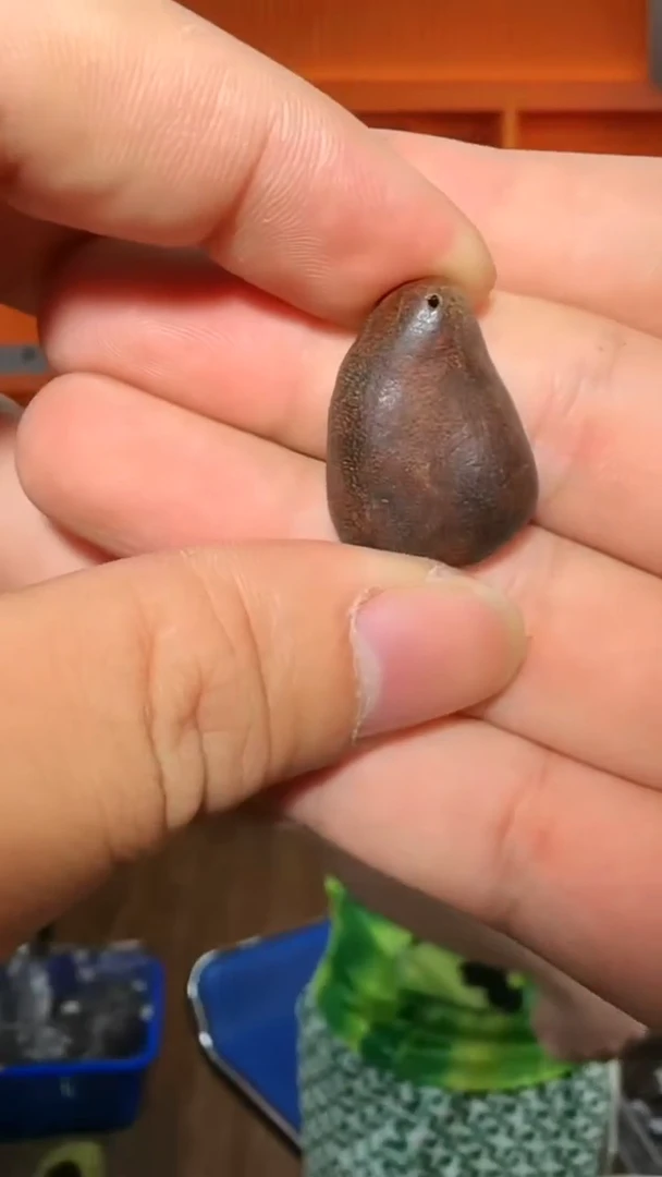沉香吊坠173号红土多样性发一