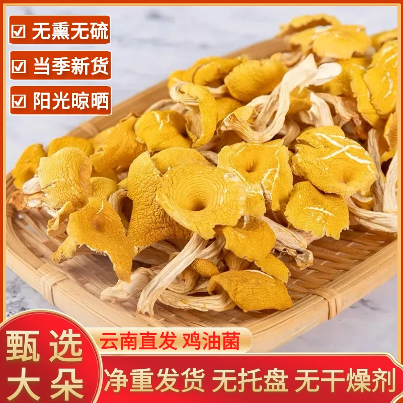 鸡油菌新鲜云南野蘑菇特级鸡枞菌煲汤菌子无硫松茸牛肝菌批发100g