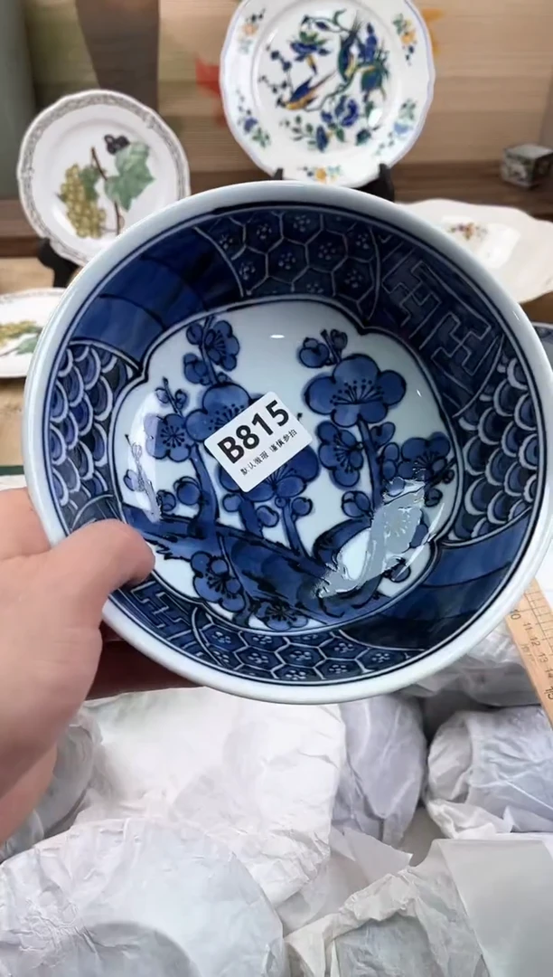 瓷片贞815