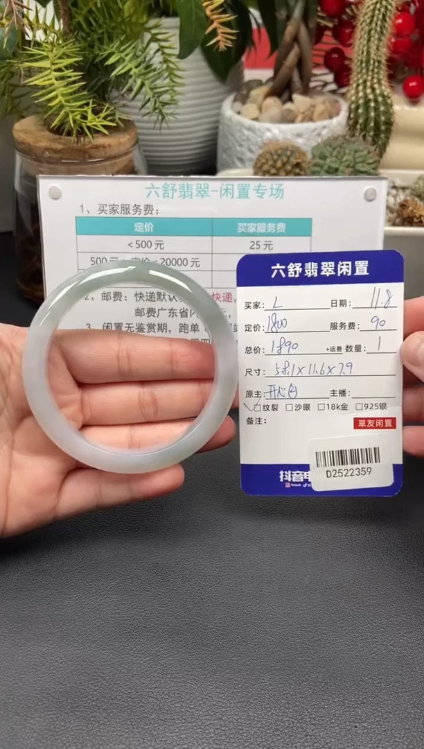 未镶嵌手镯翡翠L***萌D2522359