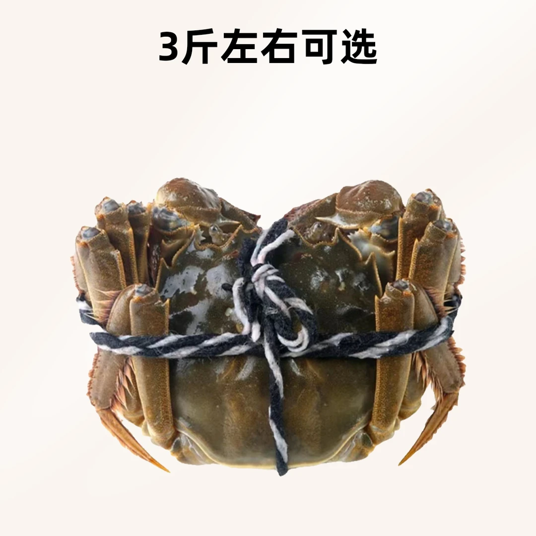 大闸蟹半爪公蟹3.5两-3.8两/只3斤