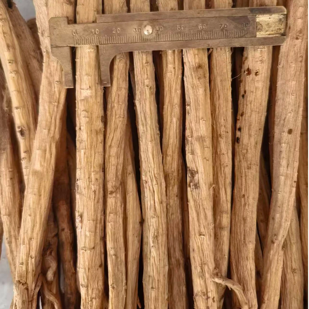 甘肃白条党参当季干货产地原条