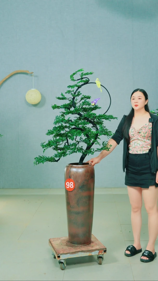 无花朵骏*广东小叶紫檀