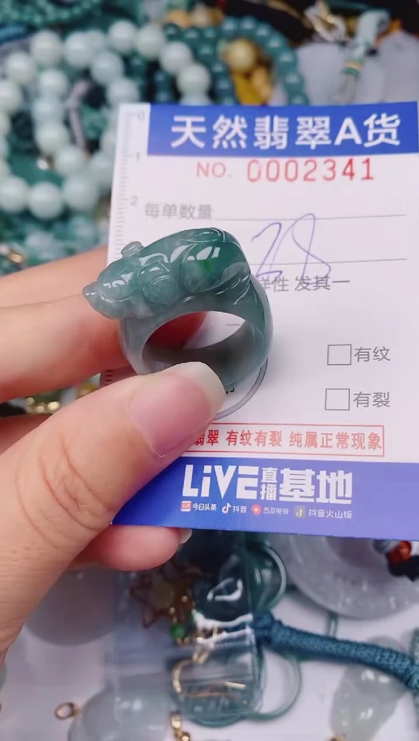 颈饰未镶嵌翡翠00002341