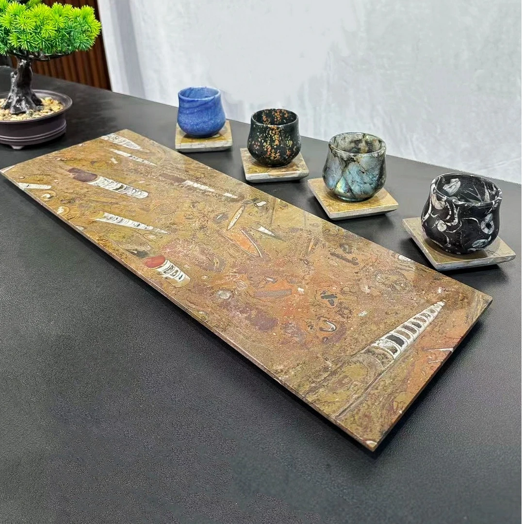 【沧海侏罗化石】奢石干泡茶盘高端中式长方形家用轻奢简约茶具配套