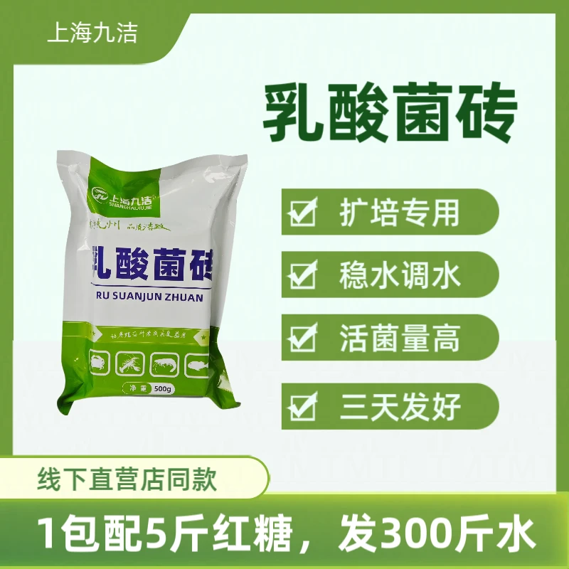 乳酸菌砖调水稳水