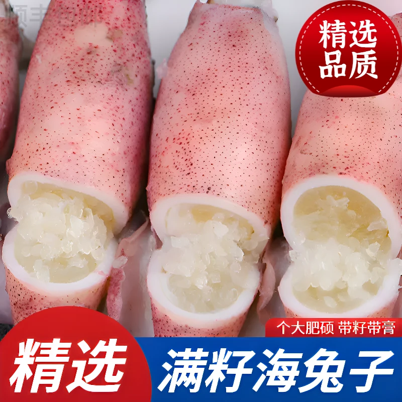 【京东顺丰包邮】新鲜满籽海兔子全籽籽乌带籽小墨鱼海鲜笔管鱼新鲜