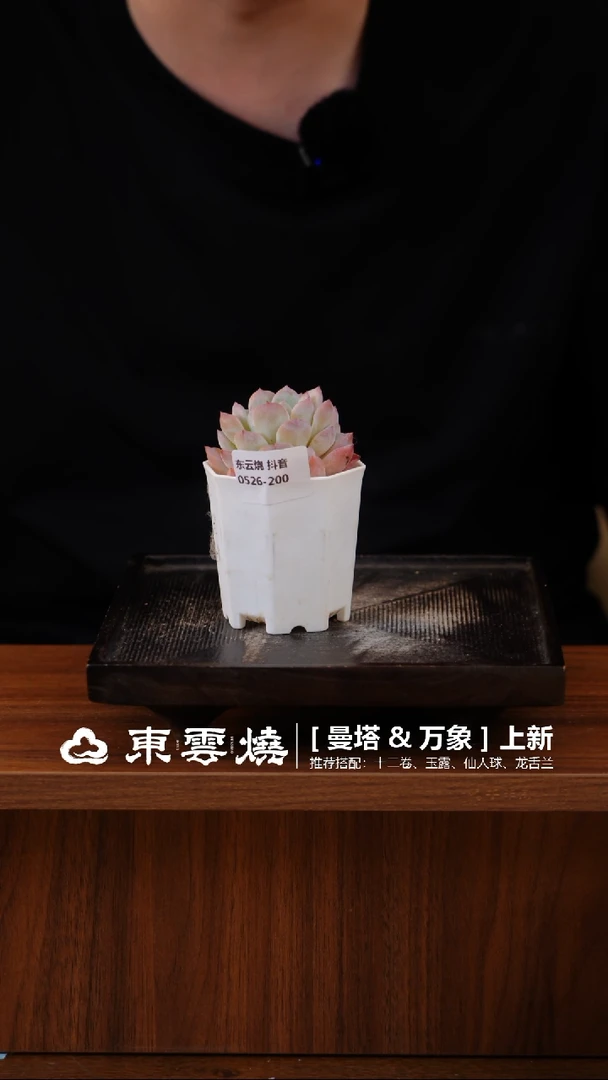 0526-200 福利 肉肉随机一只