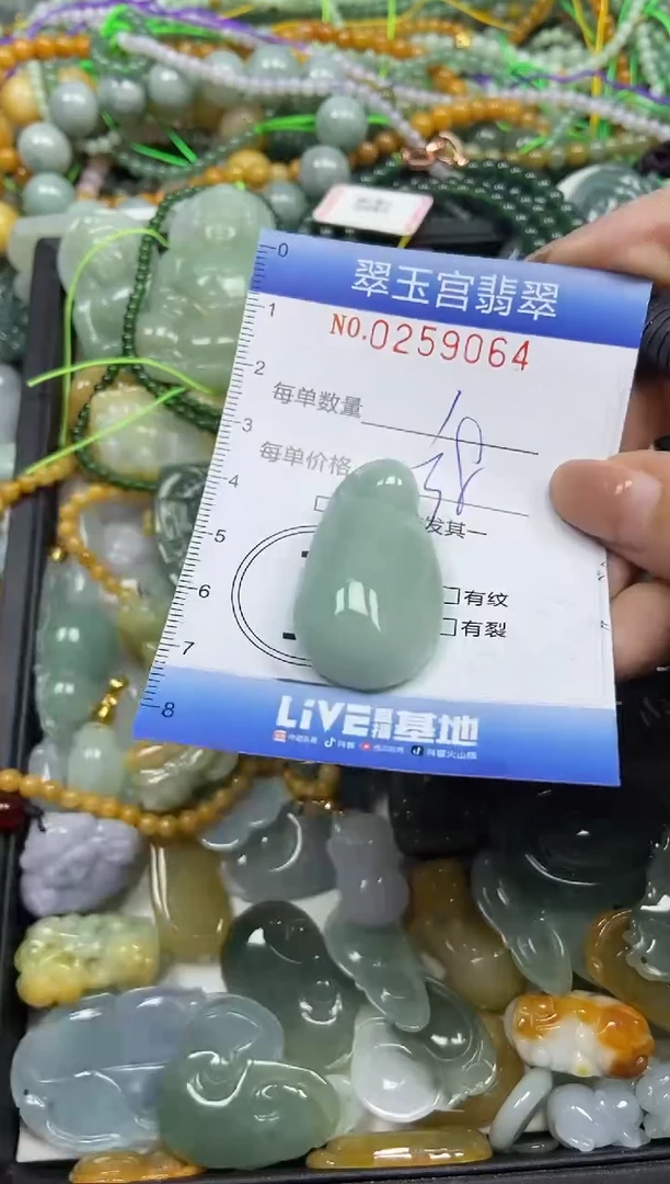 颈饰未镶嵌翡翠闪购C0259064