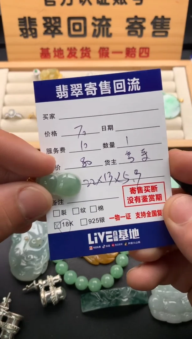 翡翠18K金镶嵌颈饰10138918