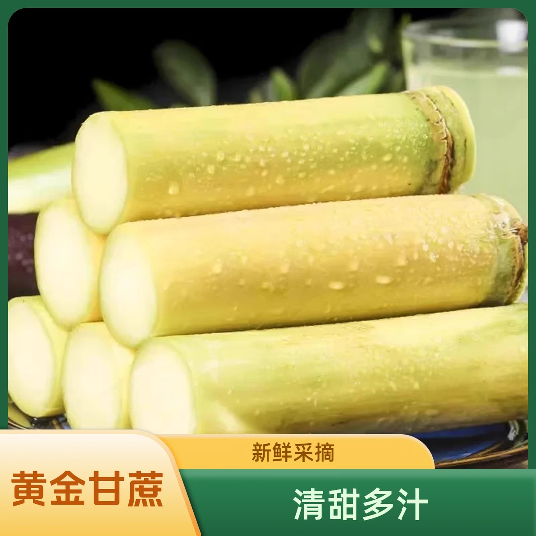 云南黄金脆皮甘蔗新鲜现砍清甜多汁当季水果整根黄皮易去皮