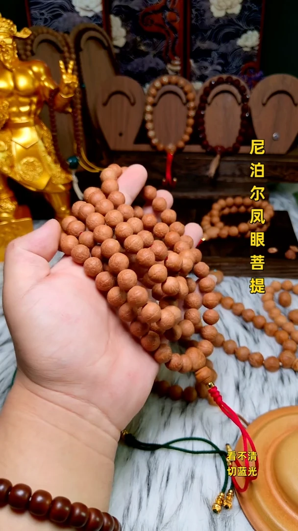 手串凤眼菩提长串12