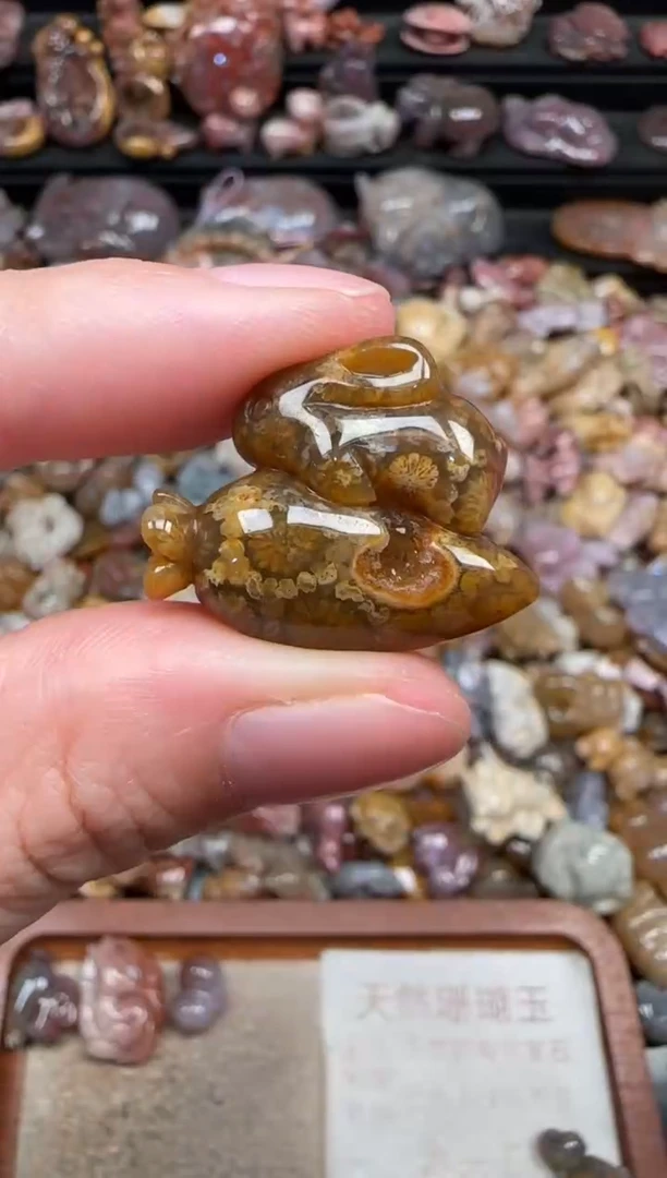 颈饰未镶嵌硅化珊瑚（珊瑚玉）183