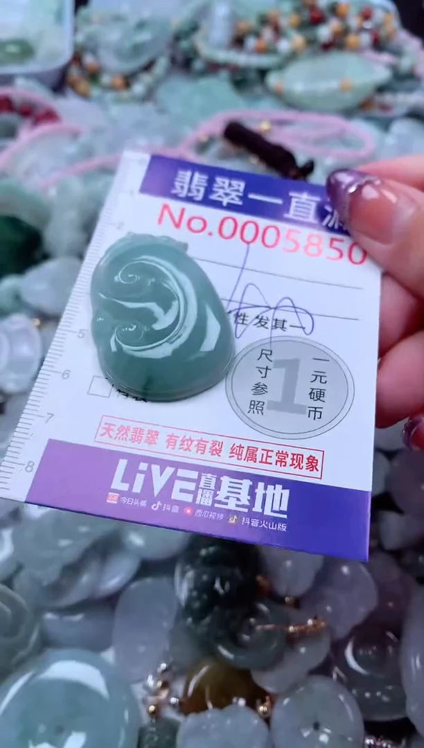 翡翠未镶嵌吊坠(不含链)5850