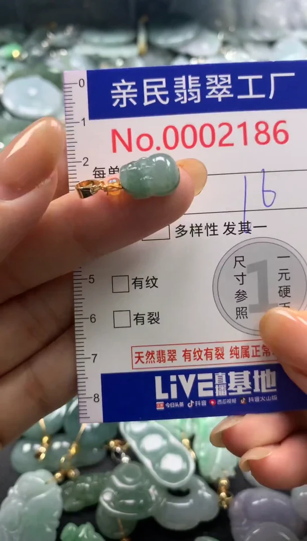 颈饰未镶嵌翡翠2186