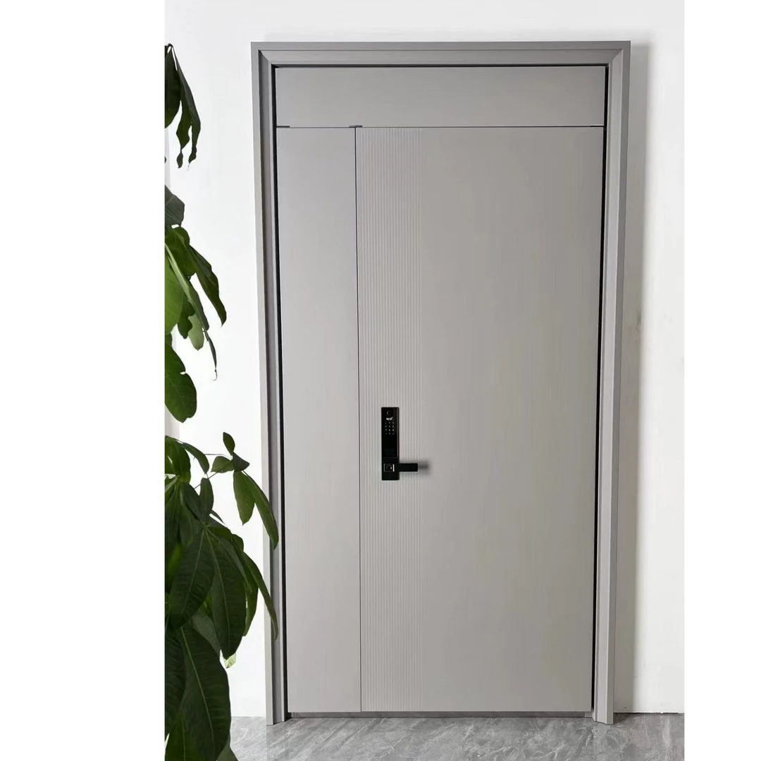 【金色童年】超甲级锌镁合金入户门极简风进户门防盗门全尺寸现货