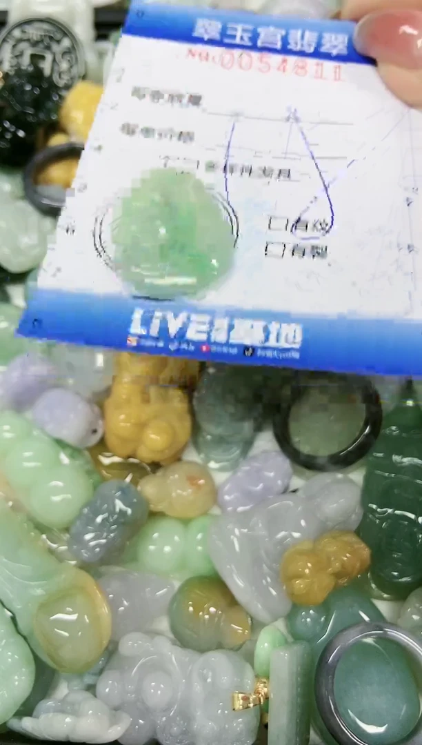 【闪购商品】翡翠颈饰未镶嵌闪购0054811